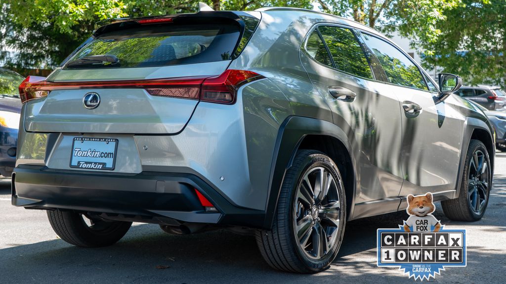 2021 Lexus UX 250h photo 4