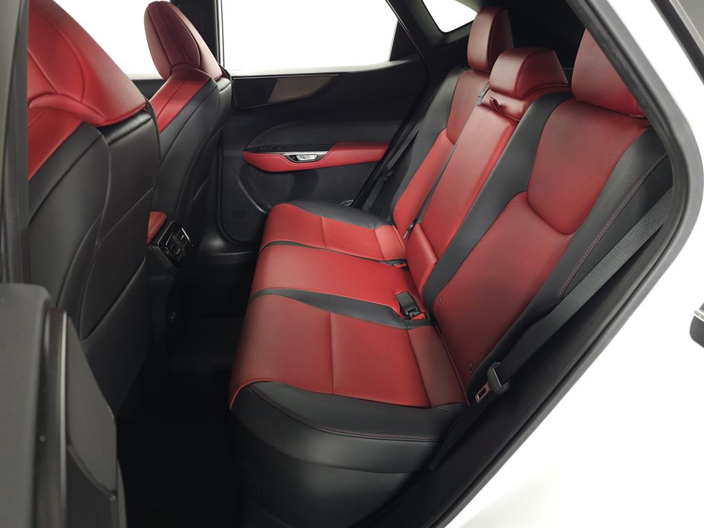 2023 Lexus NX F SPORT Handling photo 29