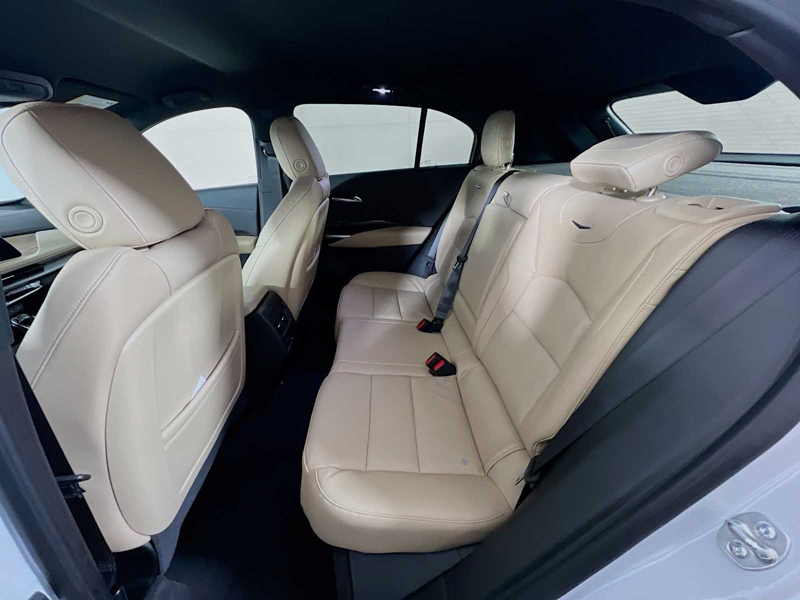 2025 Cadillac XT4 Premium Luxury photo 3