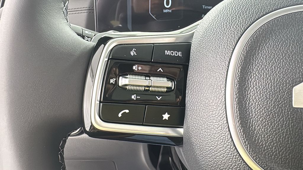 2026 Kia Carnival SX photo 23