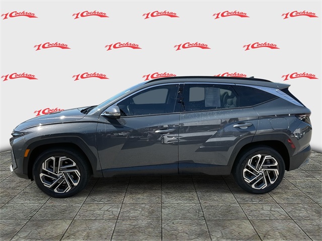 2025 Hyundai Tucson Limited photo 4