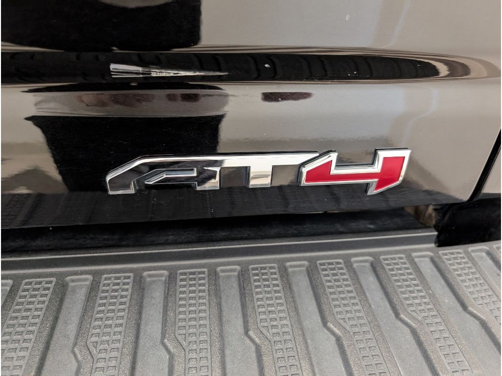 2021 Gmc Sierra 3500 HD AT4 photo 3