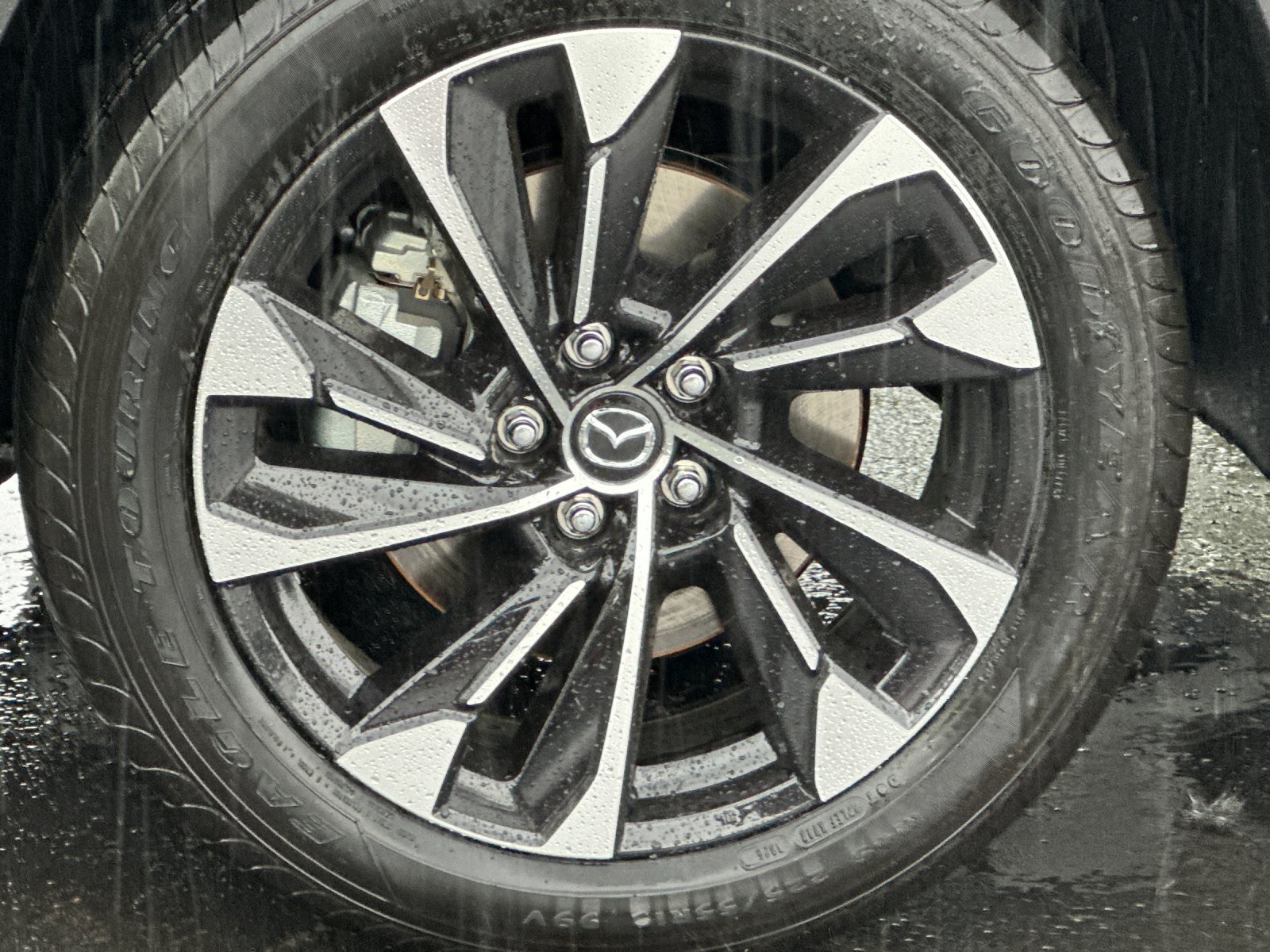 2025 Mazda CX-50 Premium Plus photo 20