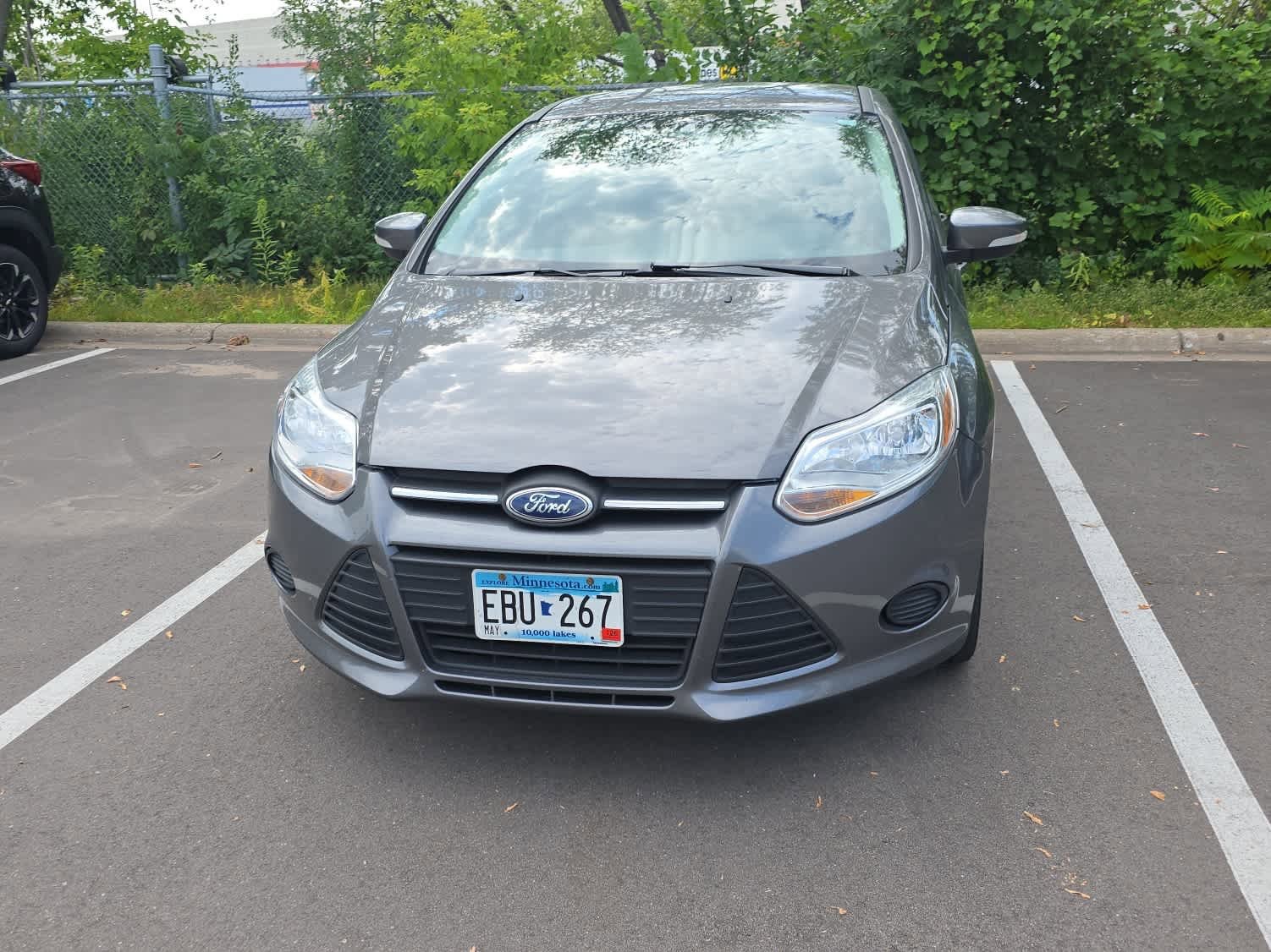 Used 2013 Ford Focus SE with VIN 1FADP3F25DL244597 for sale in Hopkins, Minnesota