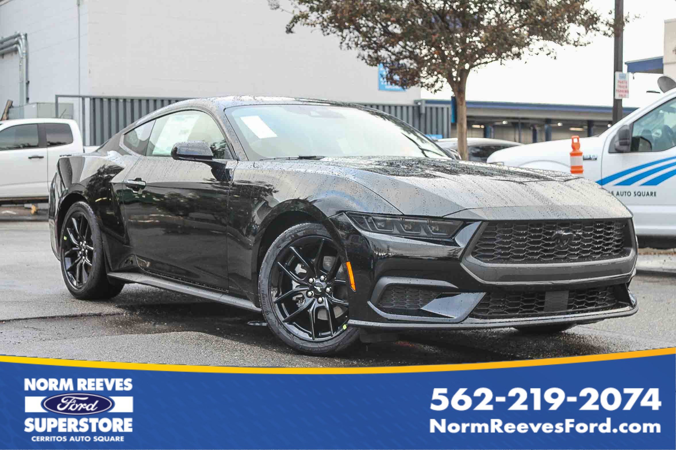 2026 Ford Mustang EcoBoost's photo