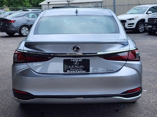 2023 Lexus ES 250 photo 18