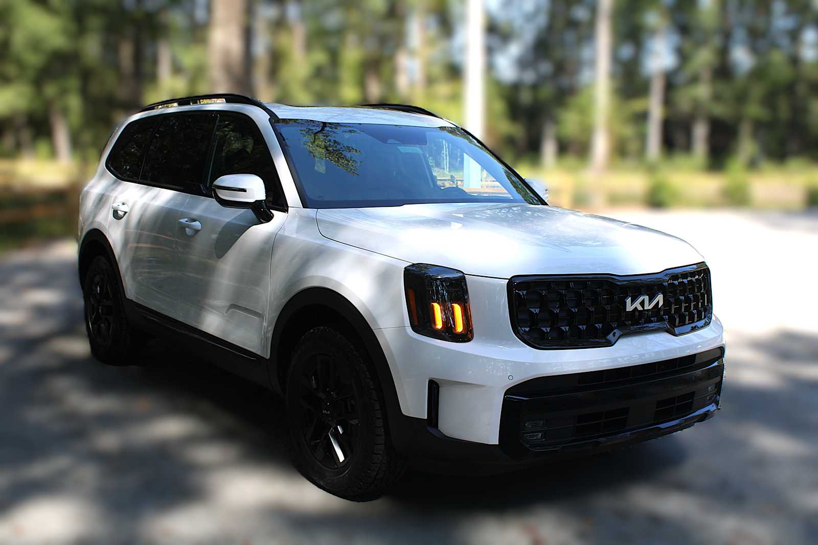 2025 Kia Telluride SX X-Line photo 15