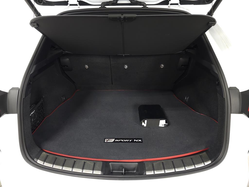 2023 Lexus NX F SPORT Handling photo 8