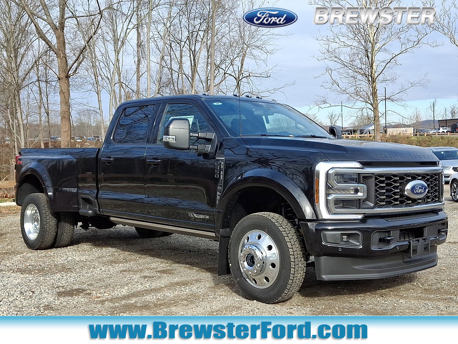 2026 Ford F-450 Super Duty Platinum's photo