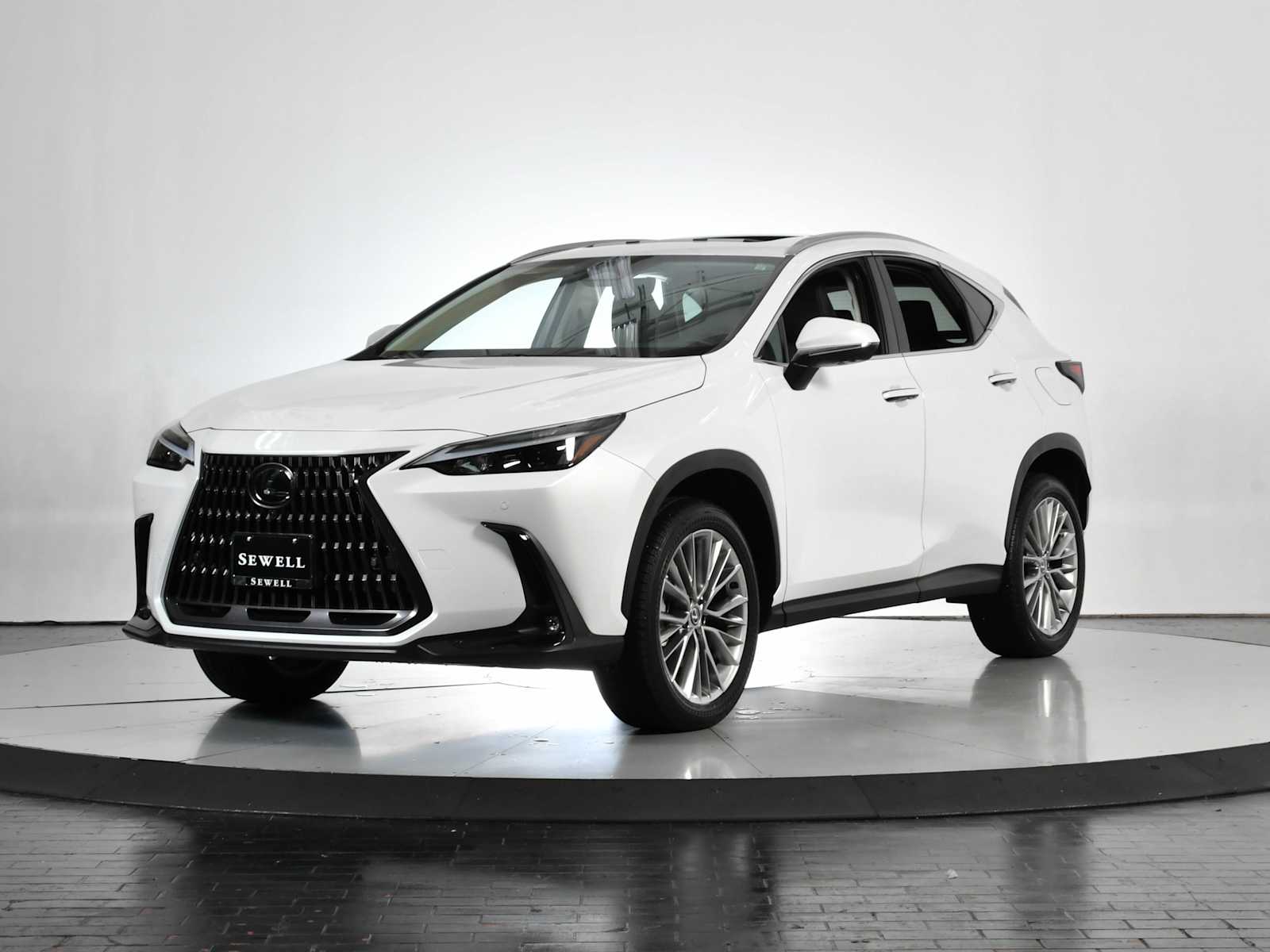 2025 Lexus NX Base's photo