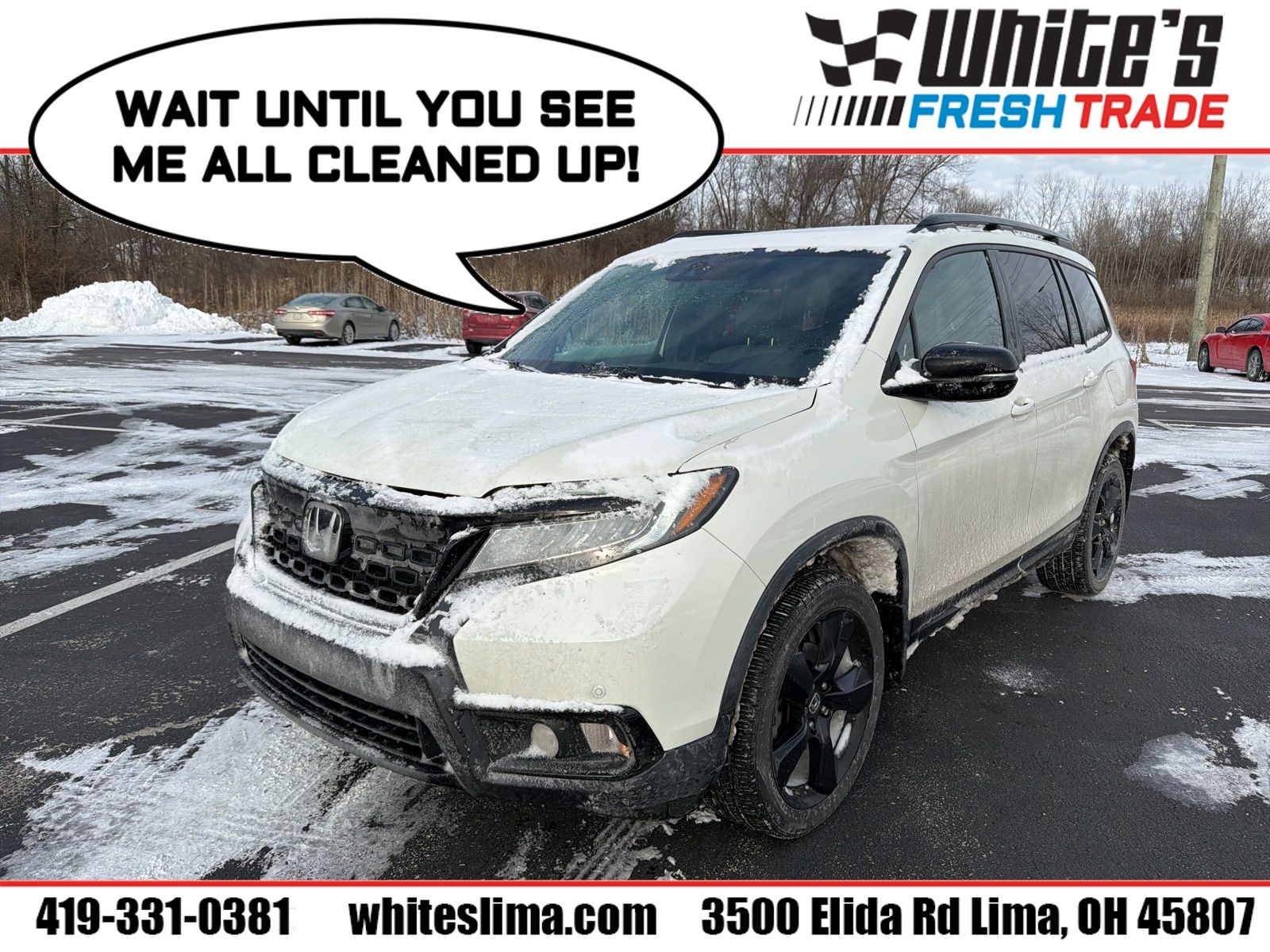 2019 Honda Passport Elite's photo