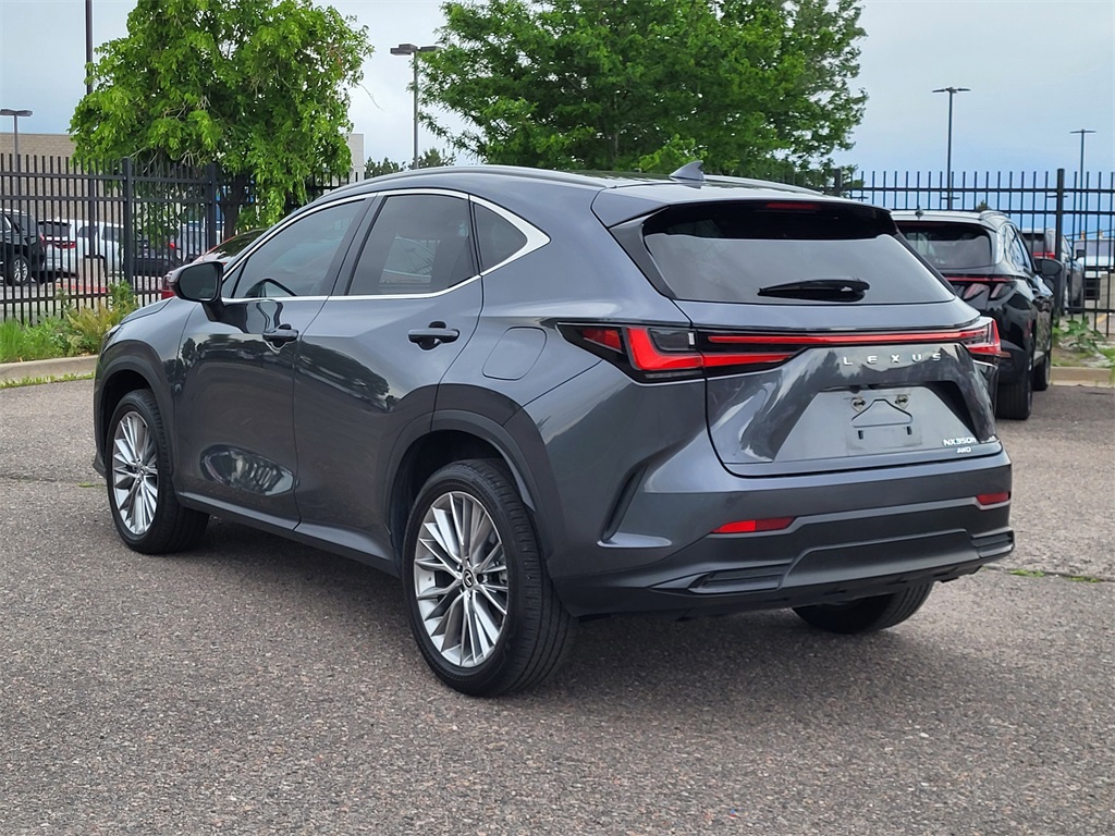2024 Lexus NX 350h Luxury photo 6