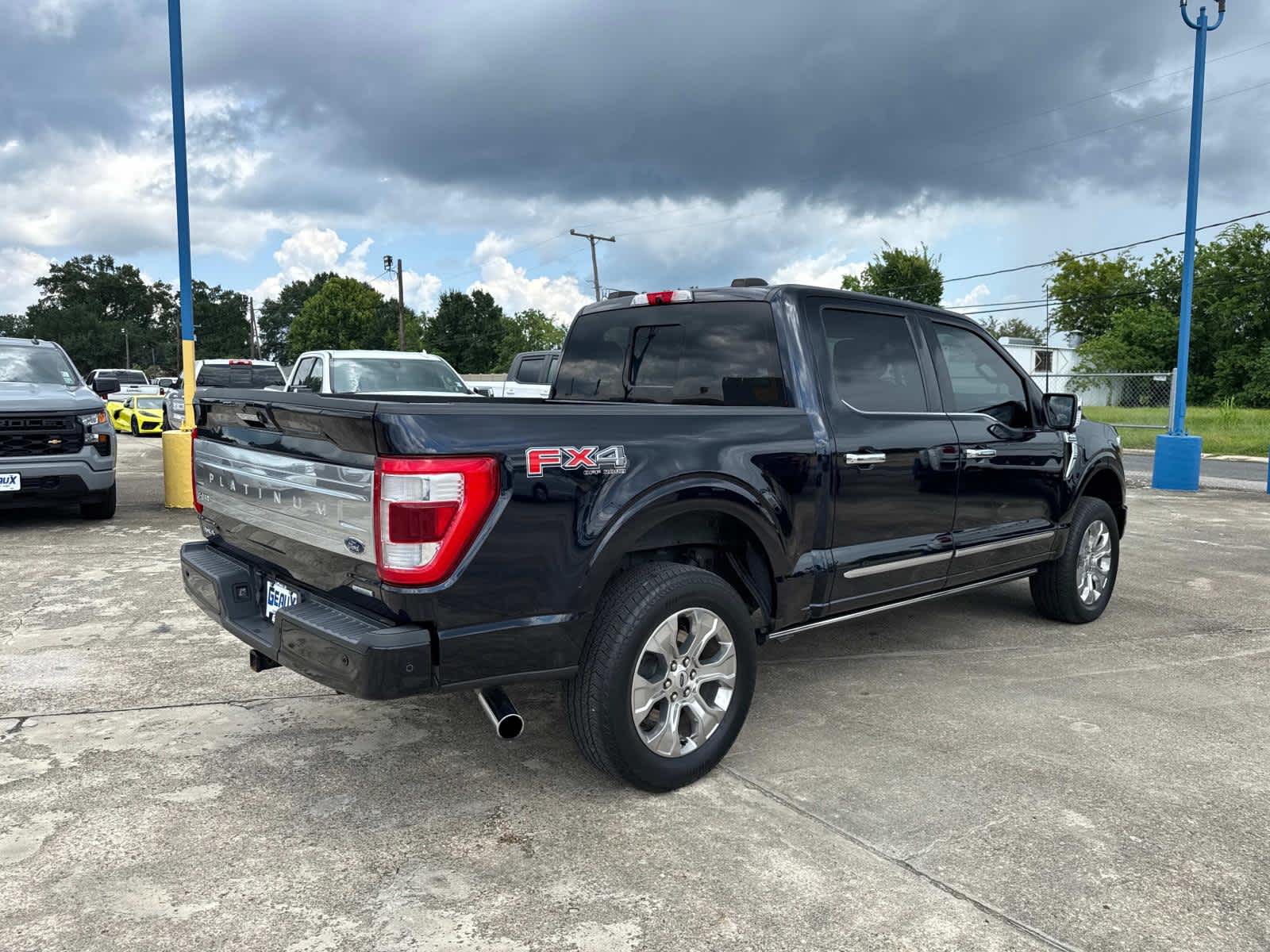 2021 Ford F-150 Platinum photo 10