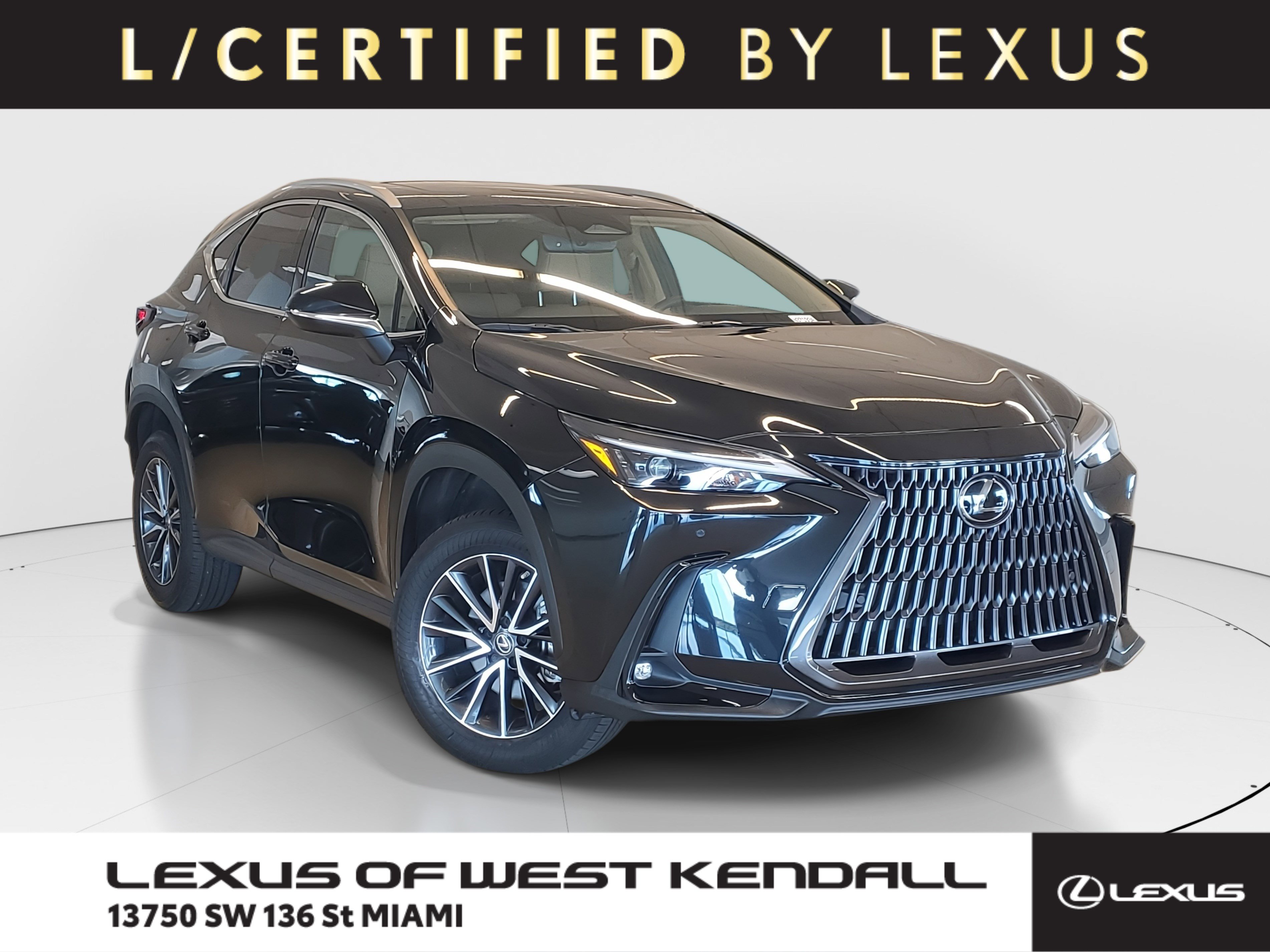 2023 Lexus NX 250's photo