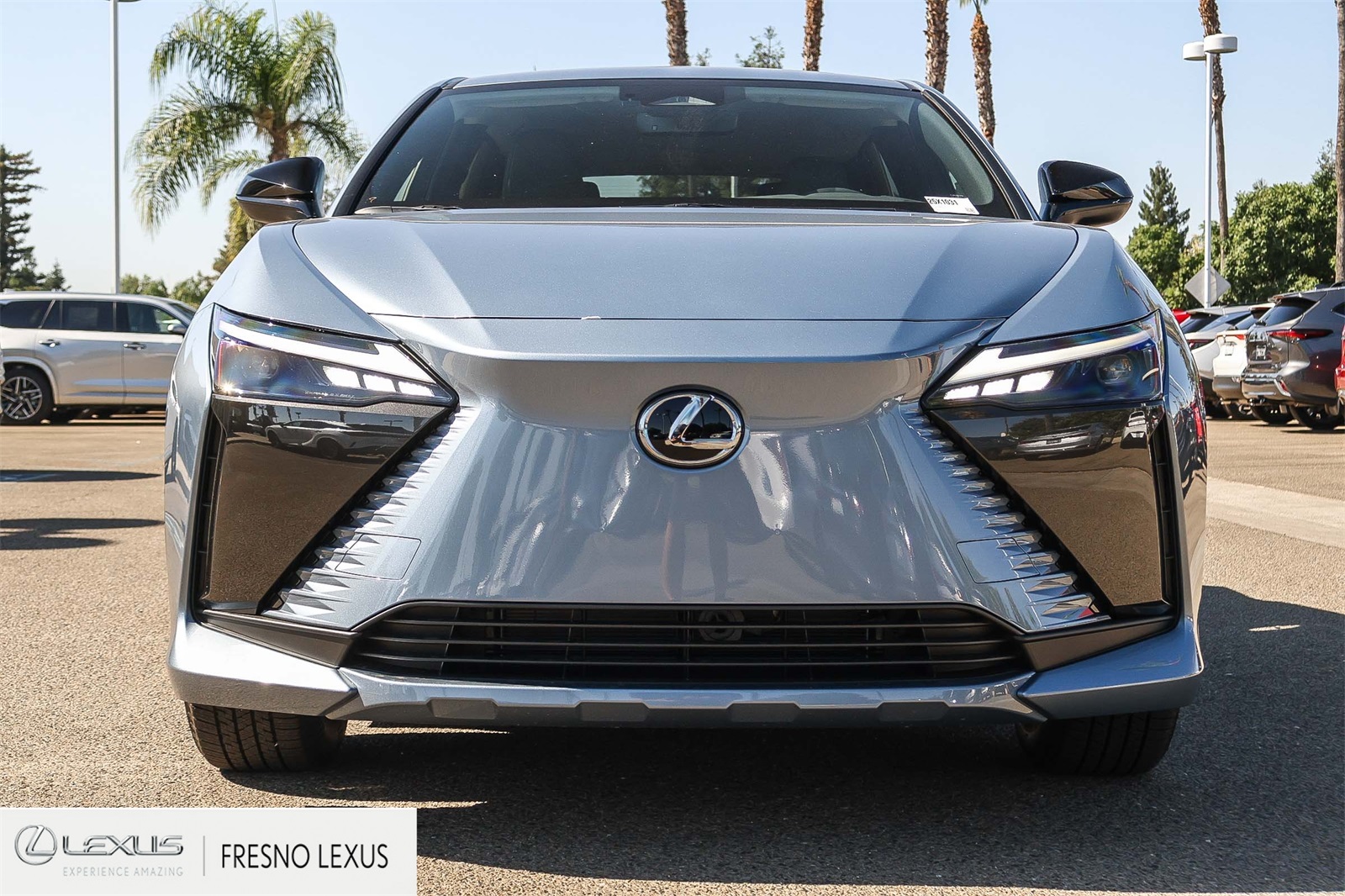 2025 Lexus RZ 450e photo 2
