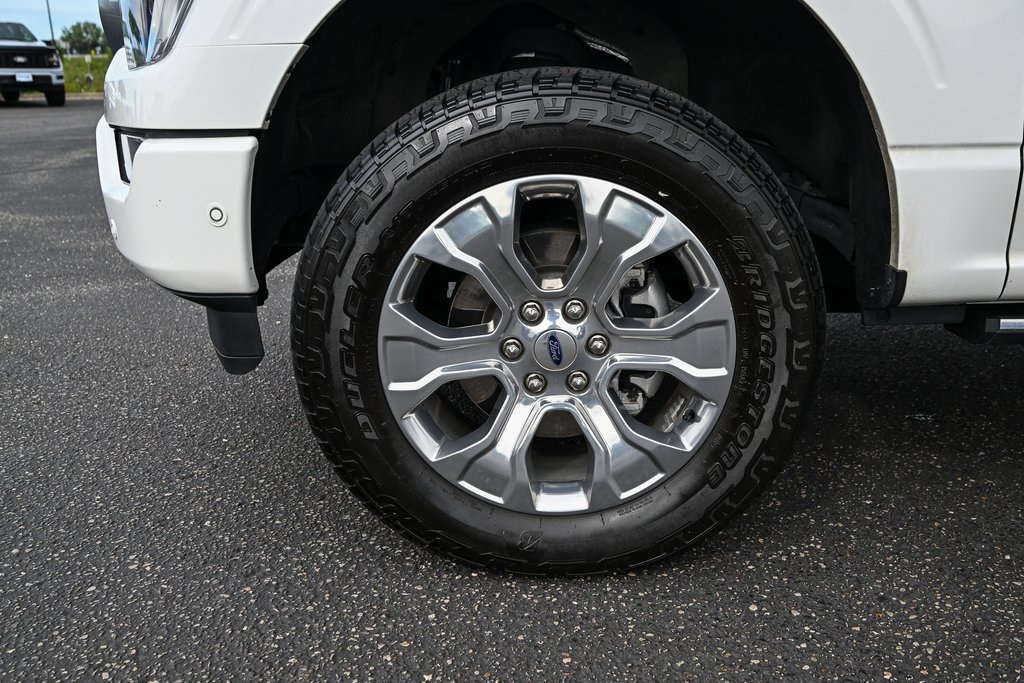 2021 Ford F-150 Platinum photo 10
