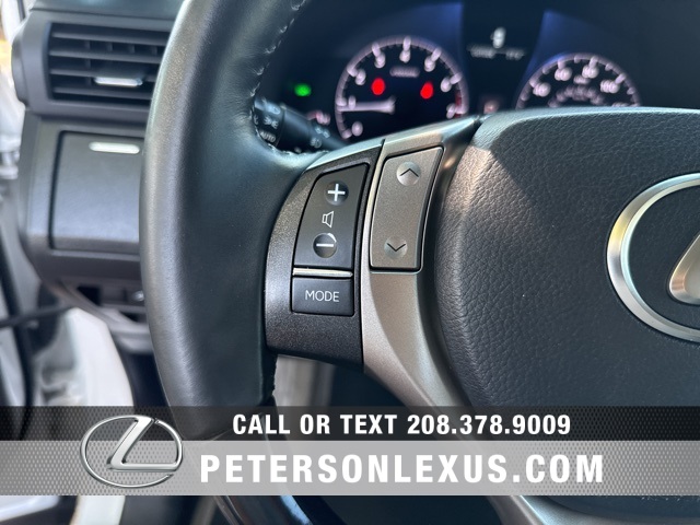 2015 Lexus RX 350 photo 20