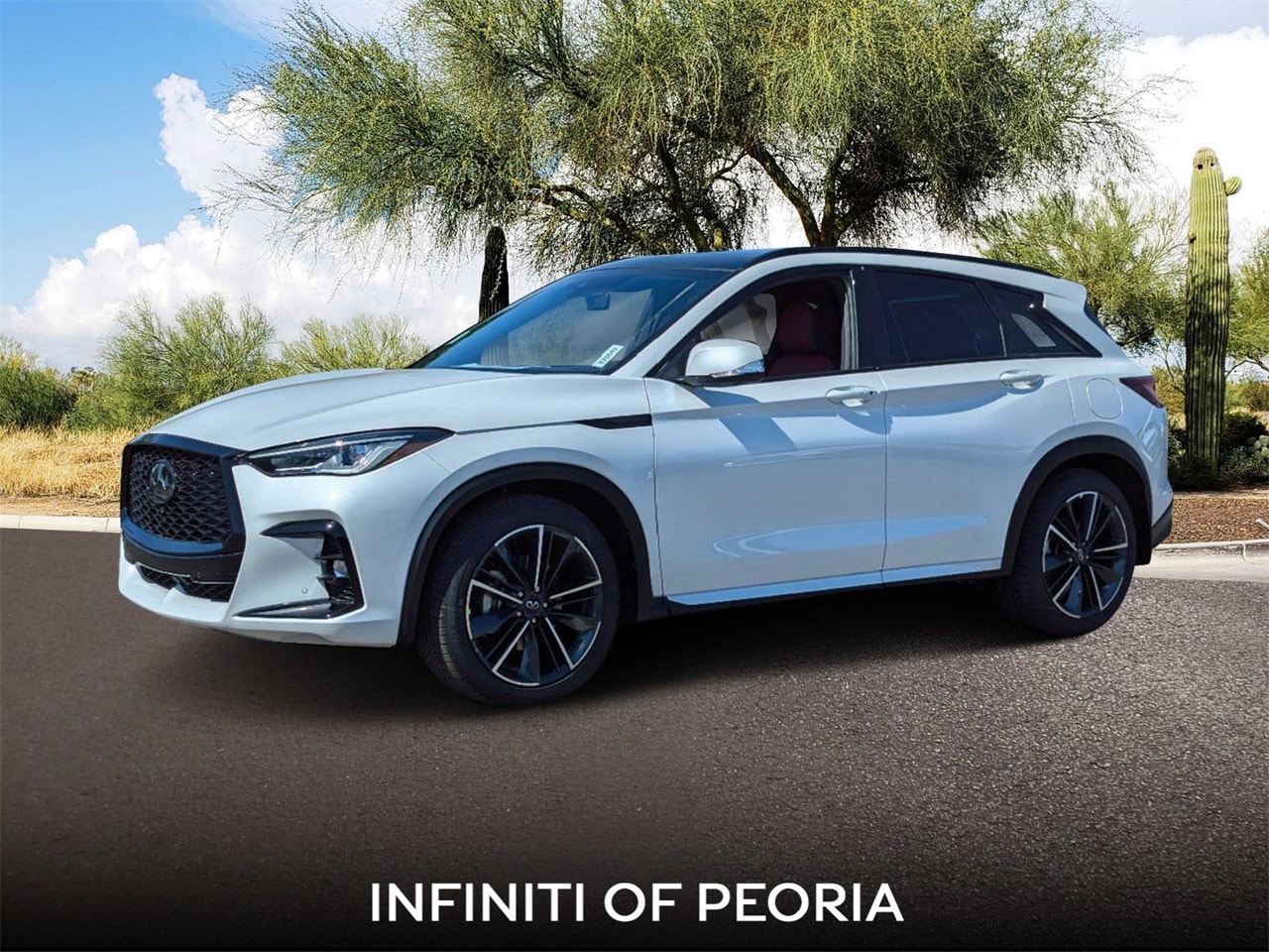 2025 INFINITI QX50 Sport's photo