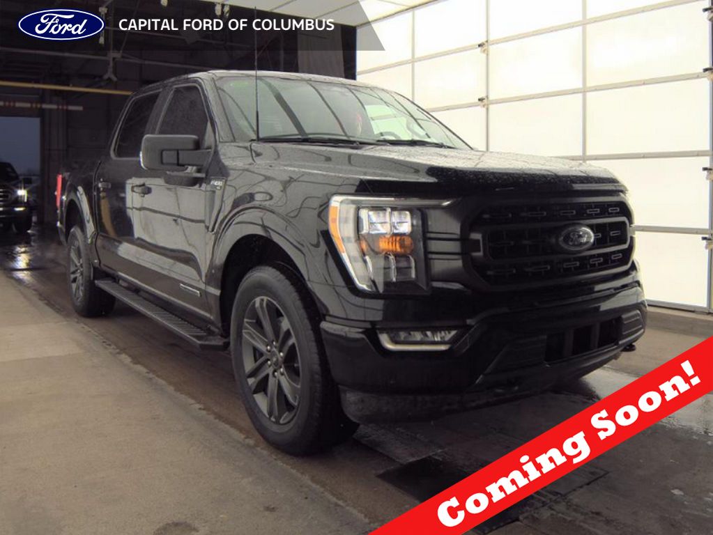 2023 Ford F-150 XLT's photo