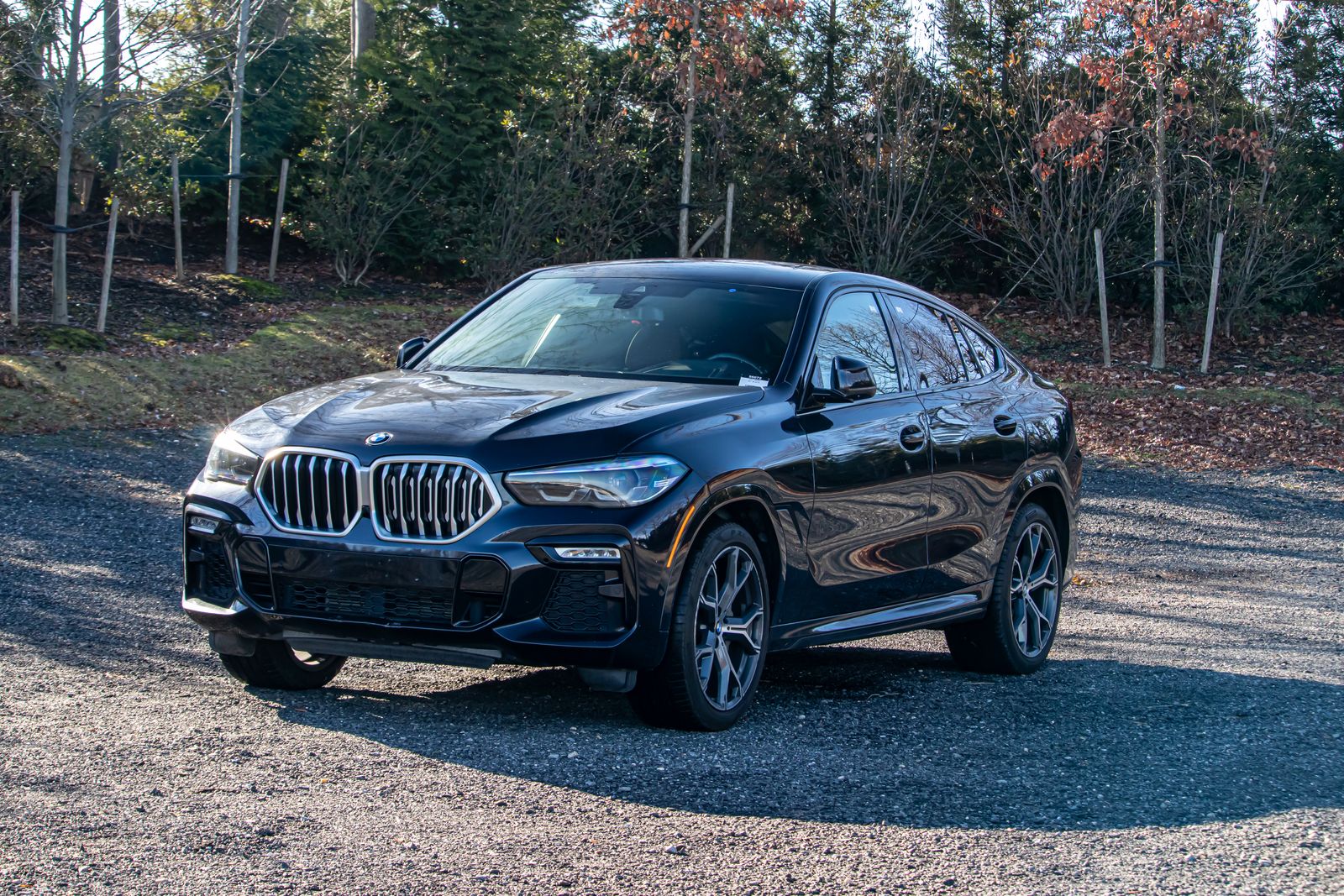 2021 BMW X6 40i's photo