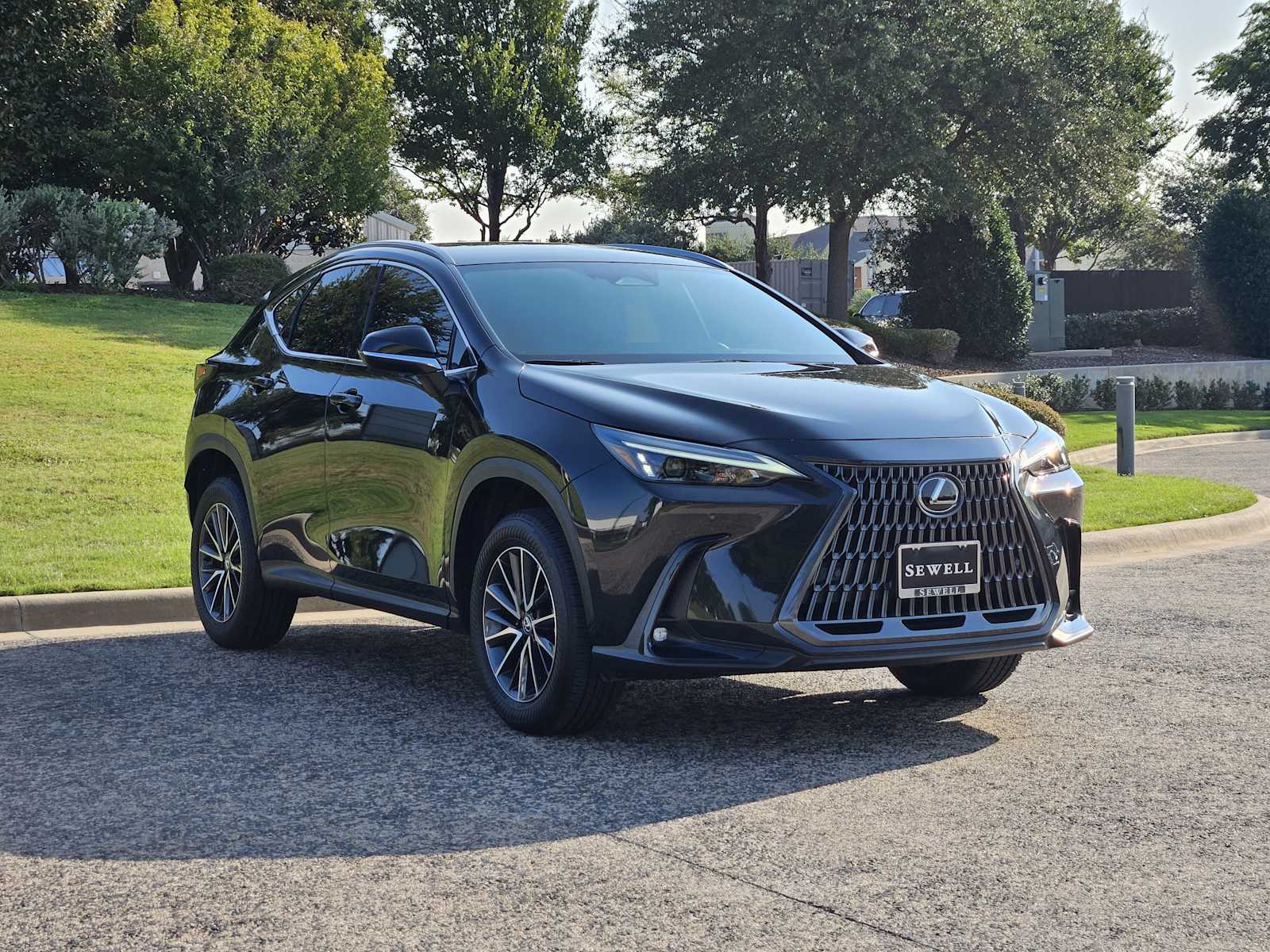 2025 Lexus NX 250 photo 2