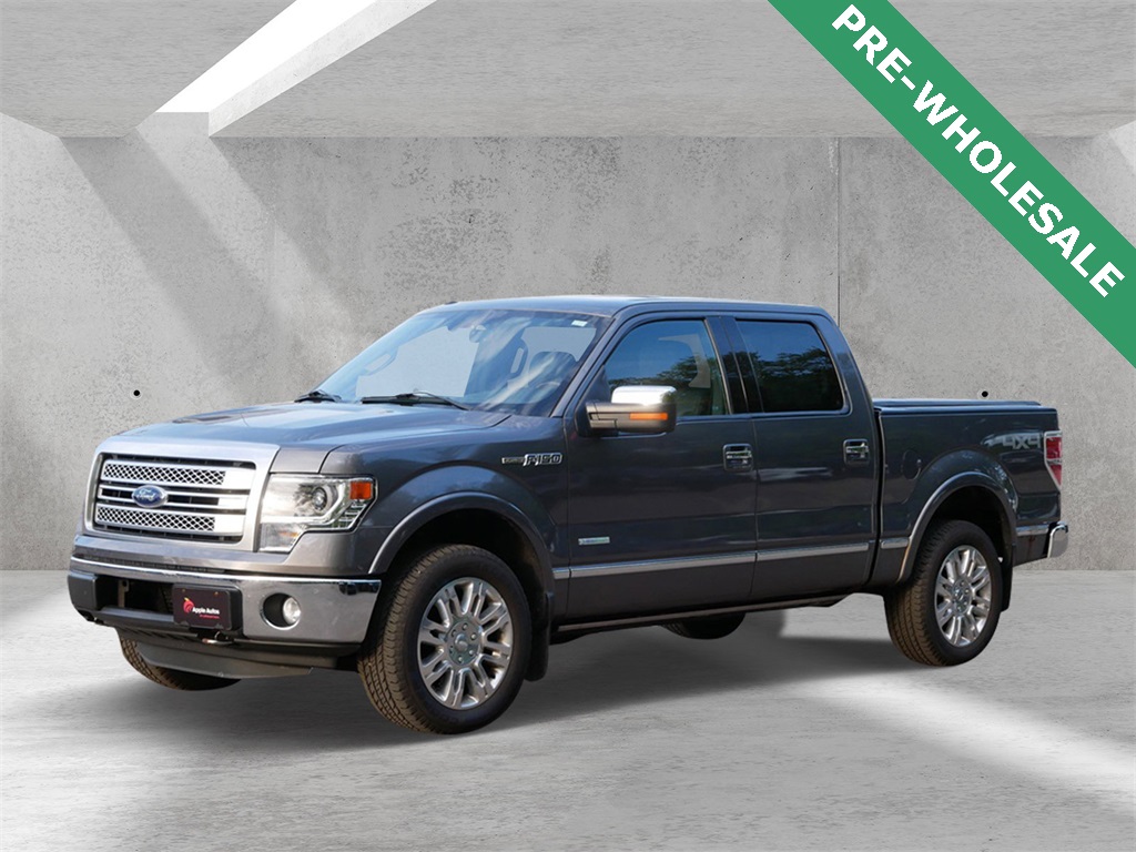 2013 Ford F-150 Platinum photo 6