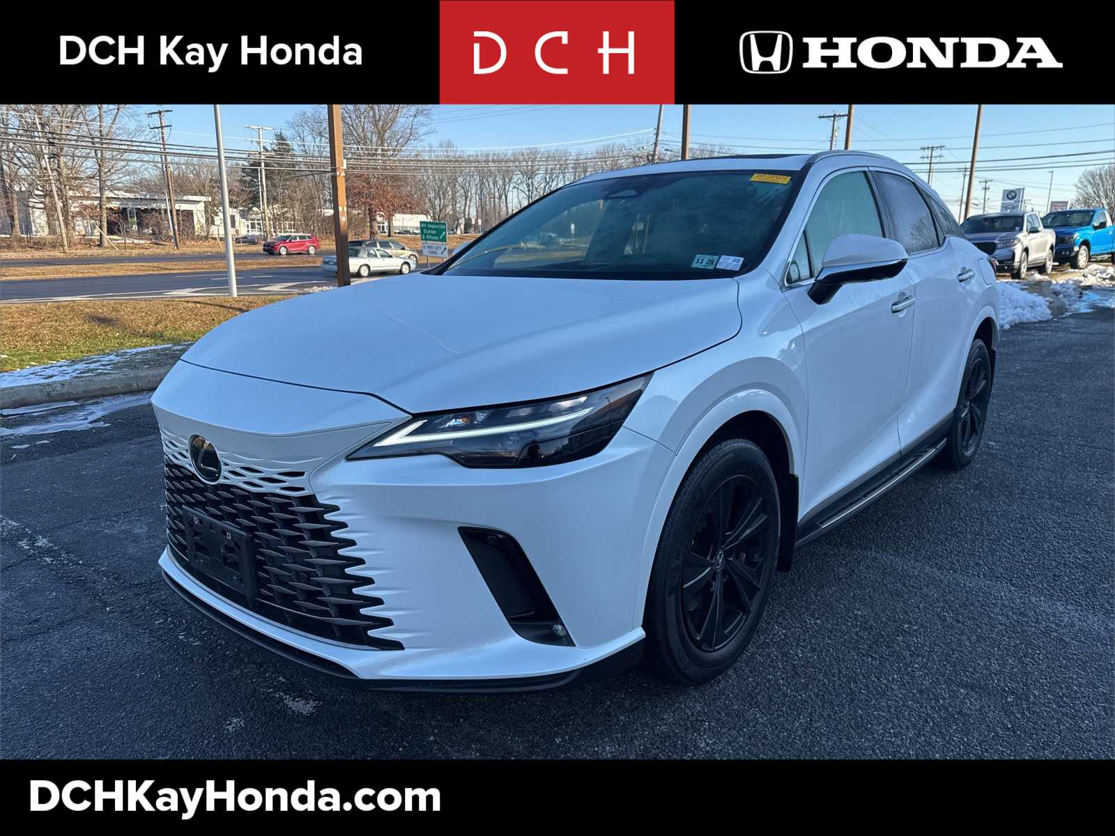 2024 Lexus RX 350's photo