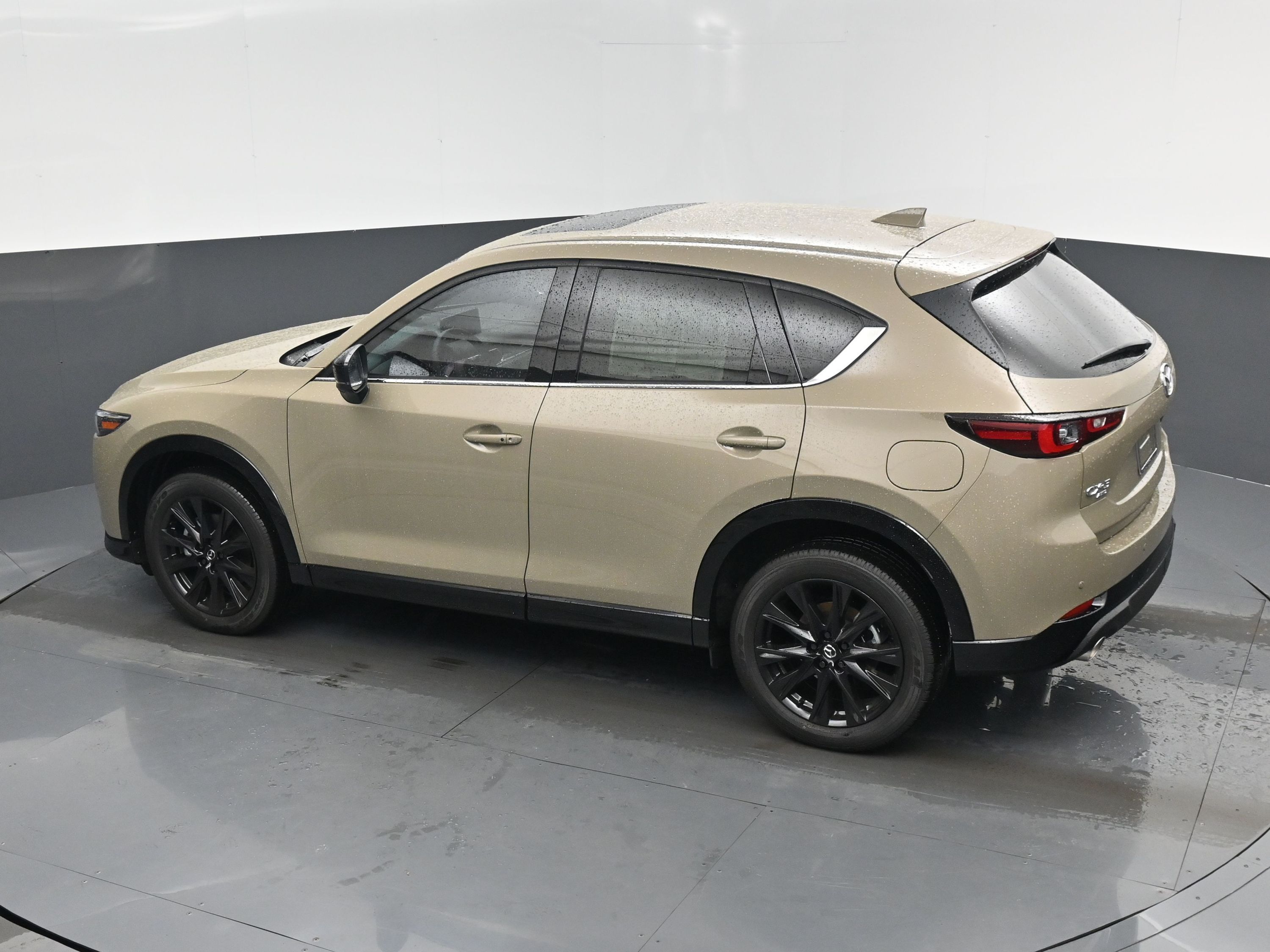 2025 Mazda CX-5 2.5 Carbon Turbo photo 43