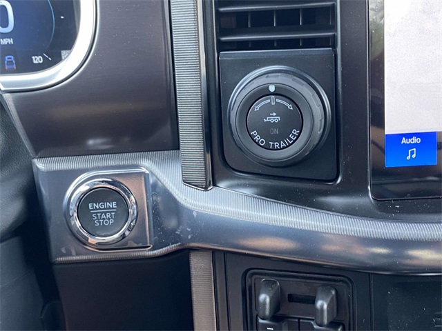 2025 Ford F-150 Platinum photo 13