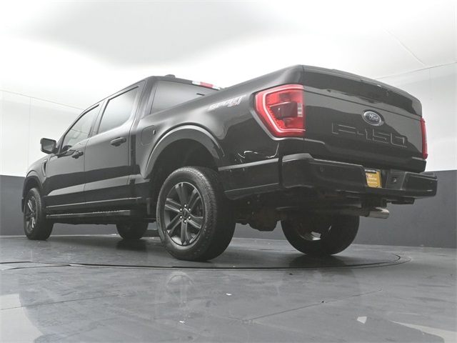 2023 FORD F-150 - Image 42