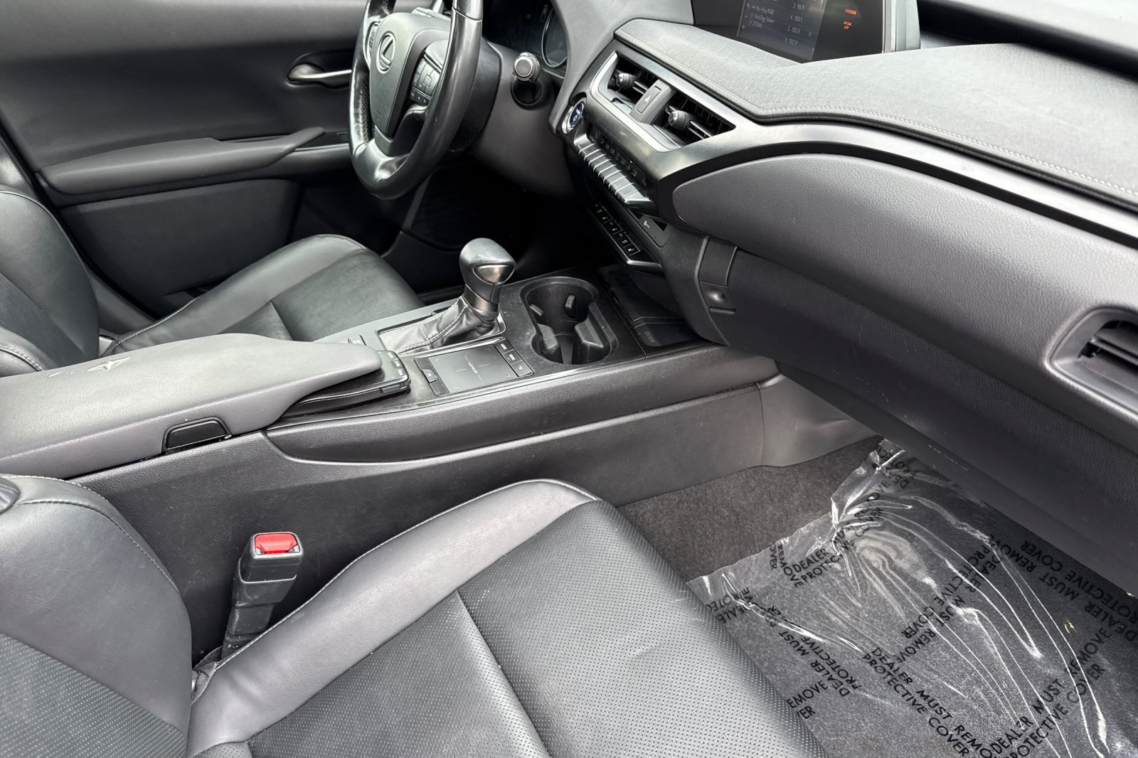2019 Lexus UX 250h photo 15