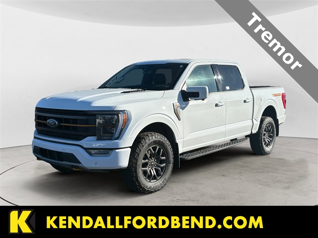 2023 Ford F-150 Tremor's photo