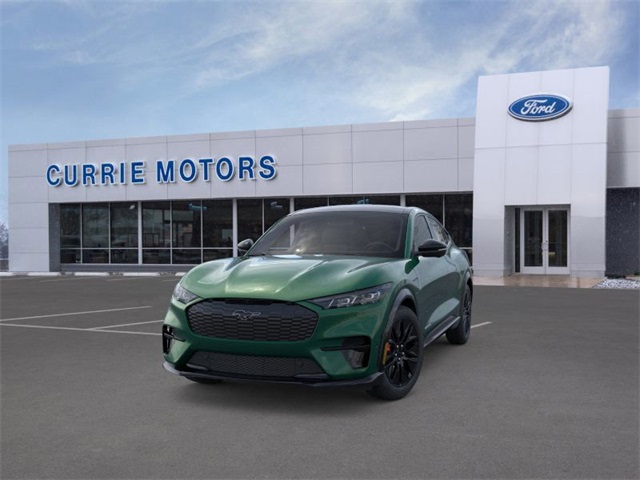 2025 Ford Mustang Mach-E Premium photo 2