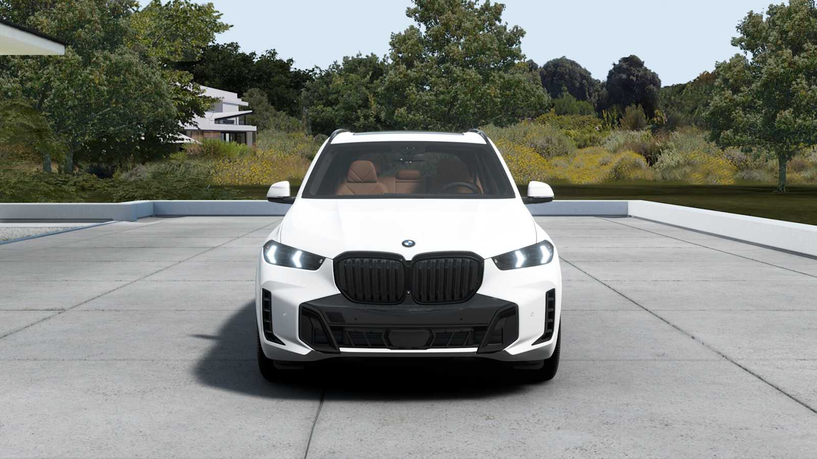 2026 Bmw X5 xDrive50e photo 3