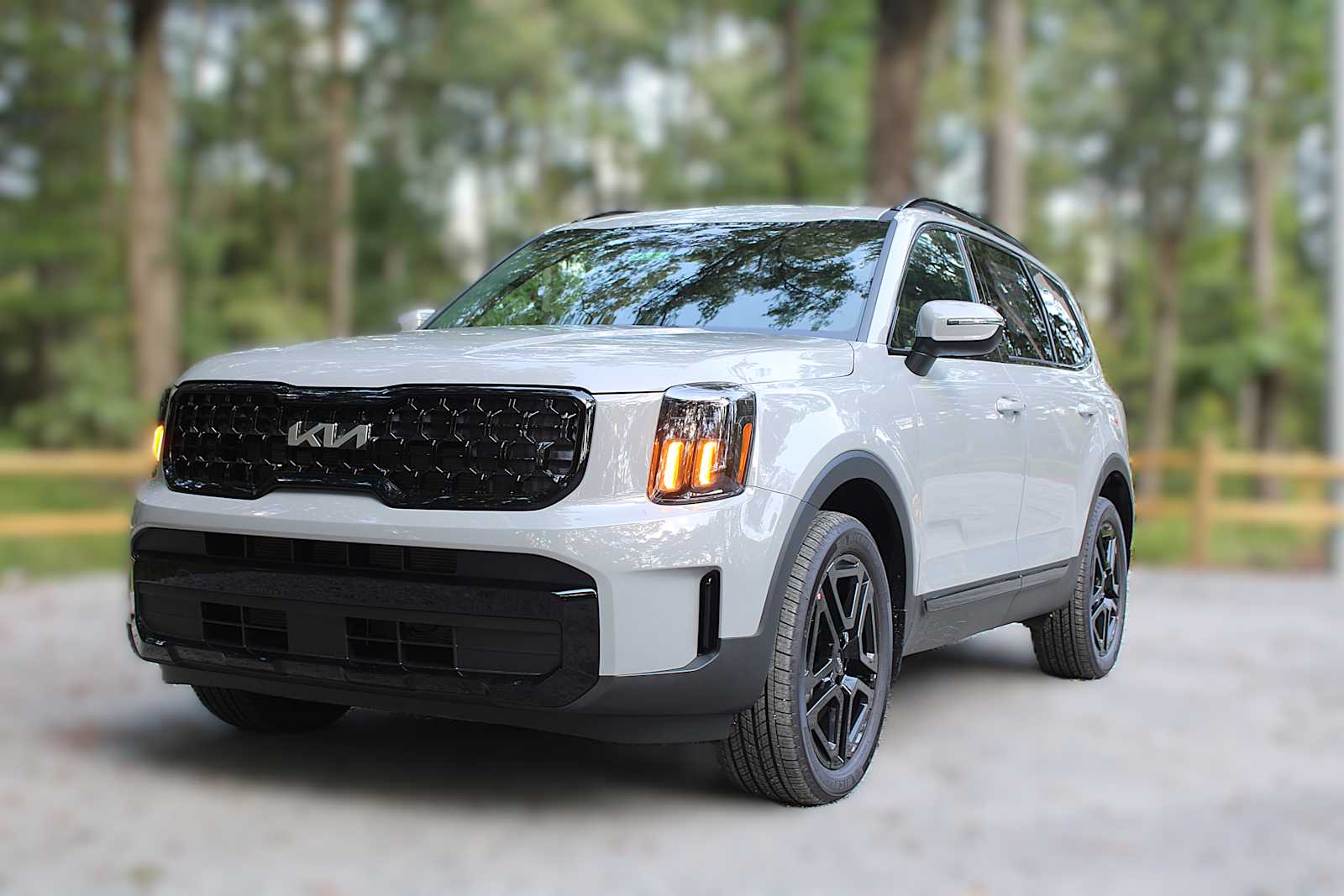 2025 Kia Telluride EX X-Line photo 2