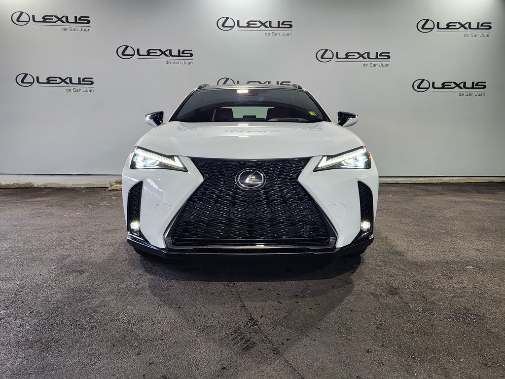 2025 Lexus UX photo 6