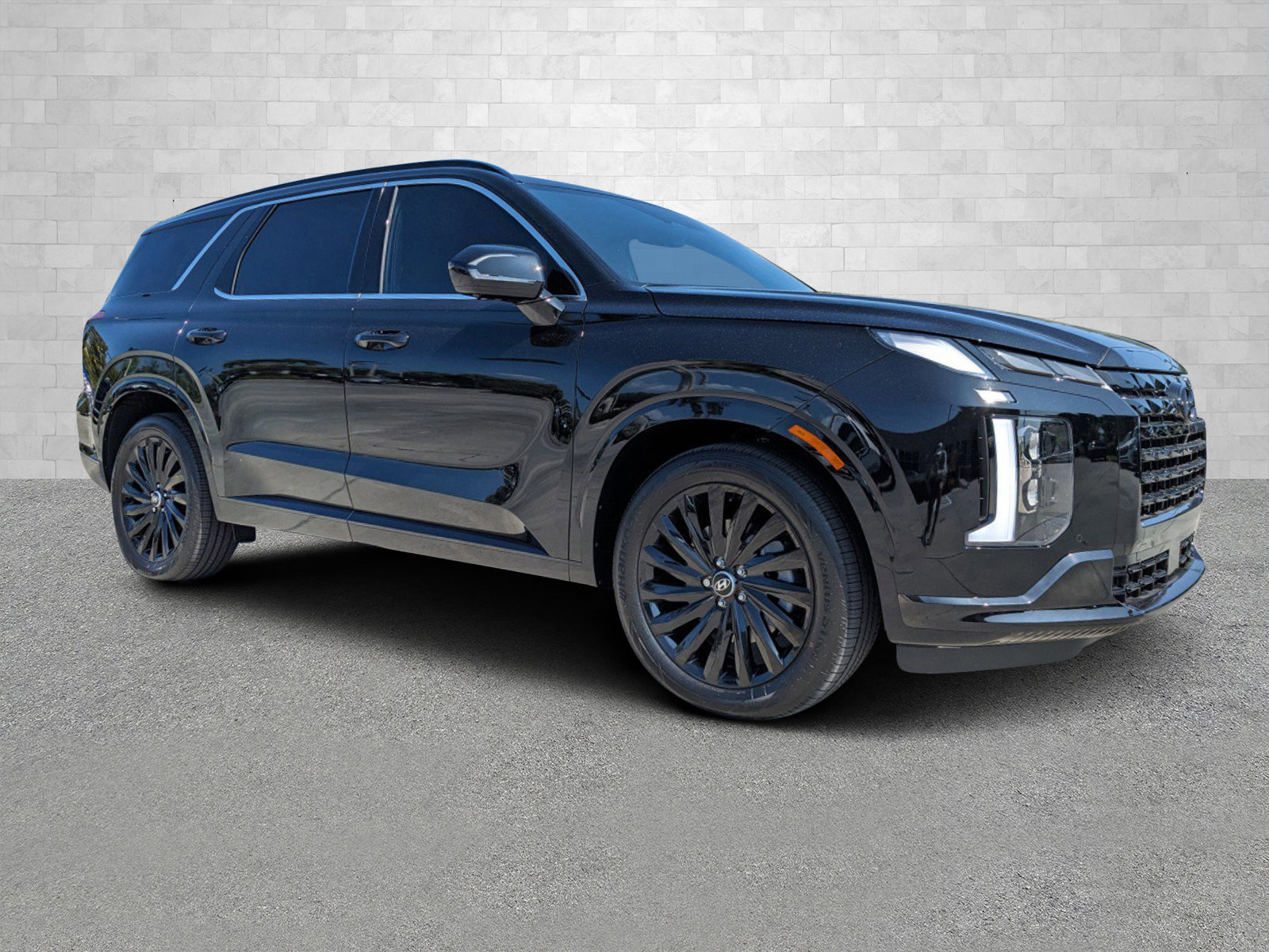 2025 Hyundai Palisade Calligraphy Night Edition's photo