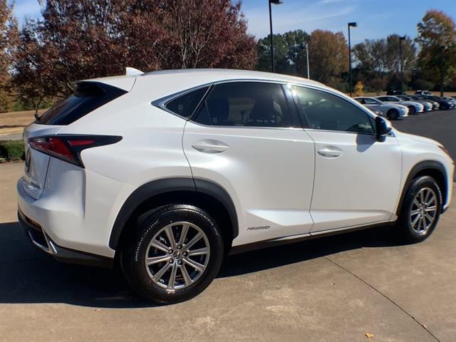2020 Lexus NX 300h photo 4