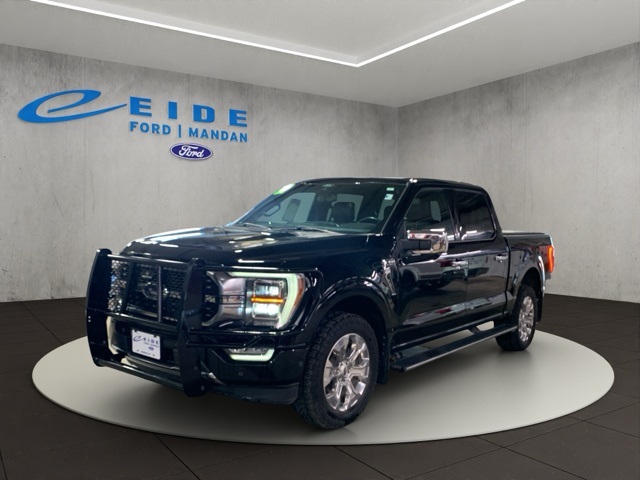2022 Ford F-150 Platinum photo 3