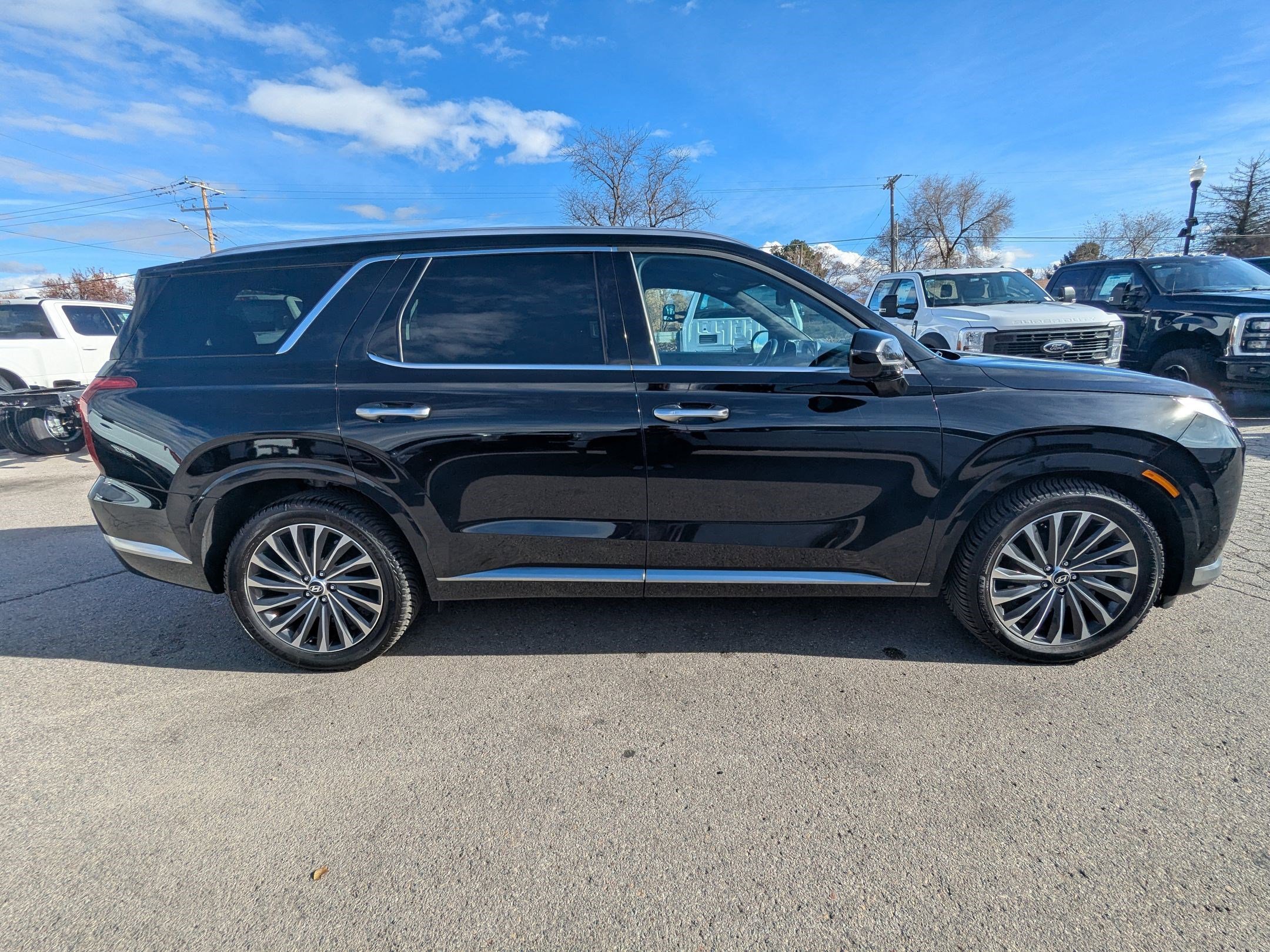 2024 Hyundai Palisade Calligraphy photo 2