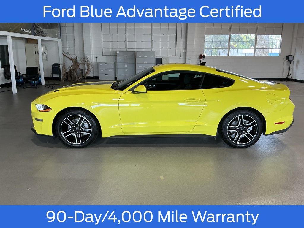 2021 Ford Mustang EcoBoost photo 2
