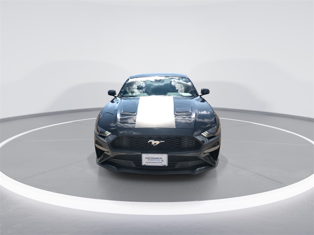 2023 Ford Mustang EcoBoost Premium photo 3