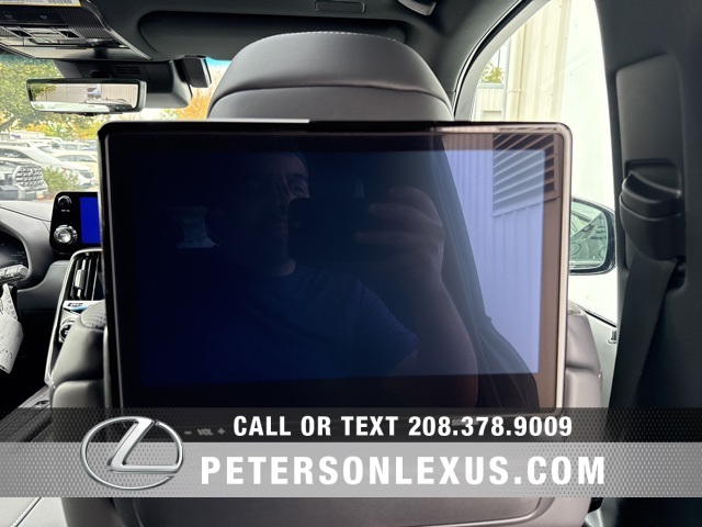 2025 Lexus LX Luxury photo 17