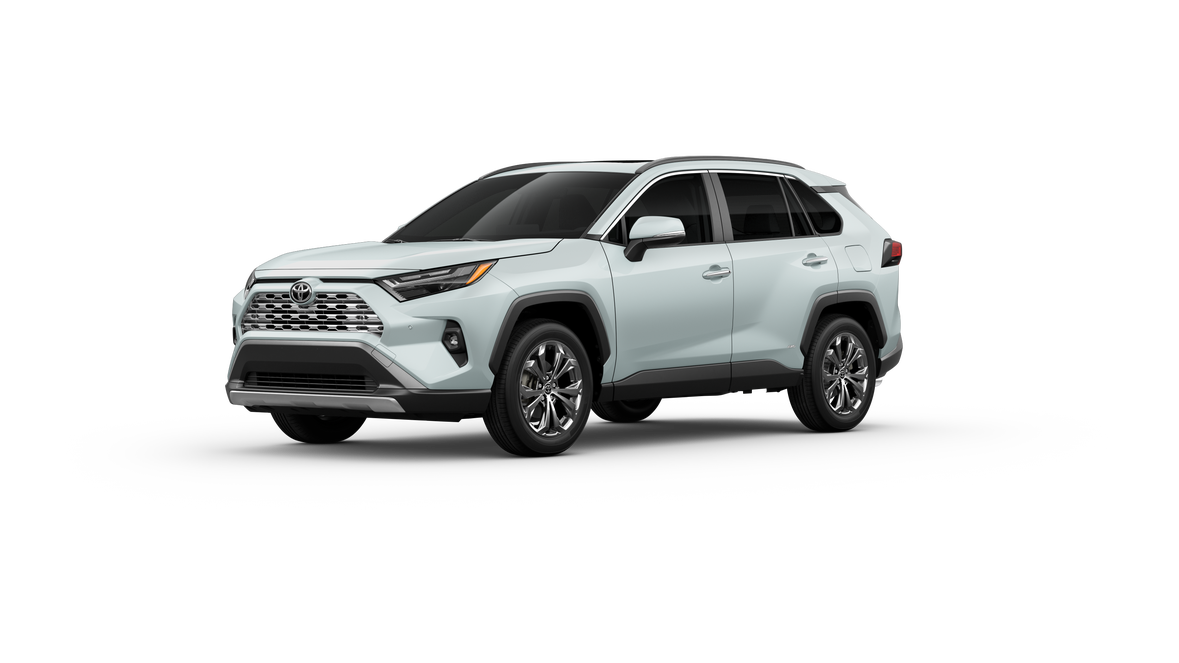 2025 Toyota RAV4 Hybrid Limited photo 21
