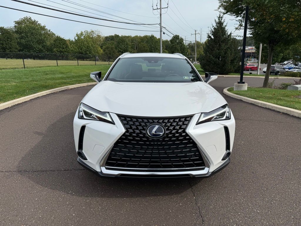 2021 Lexus UX 250h photo 2