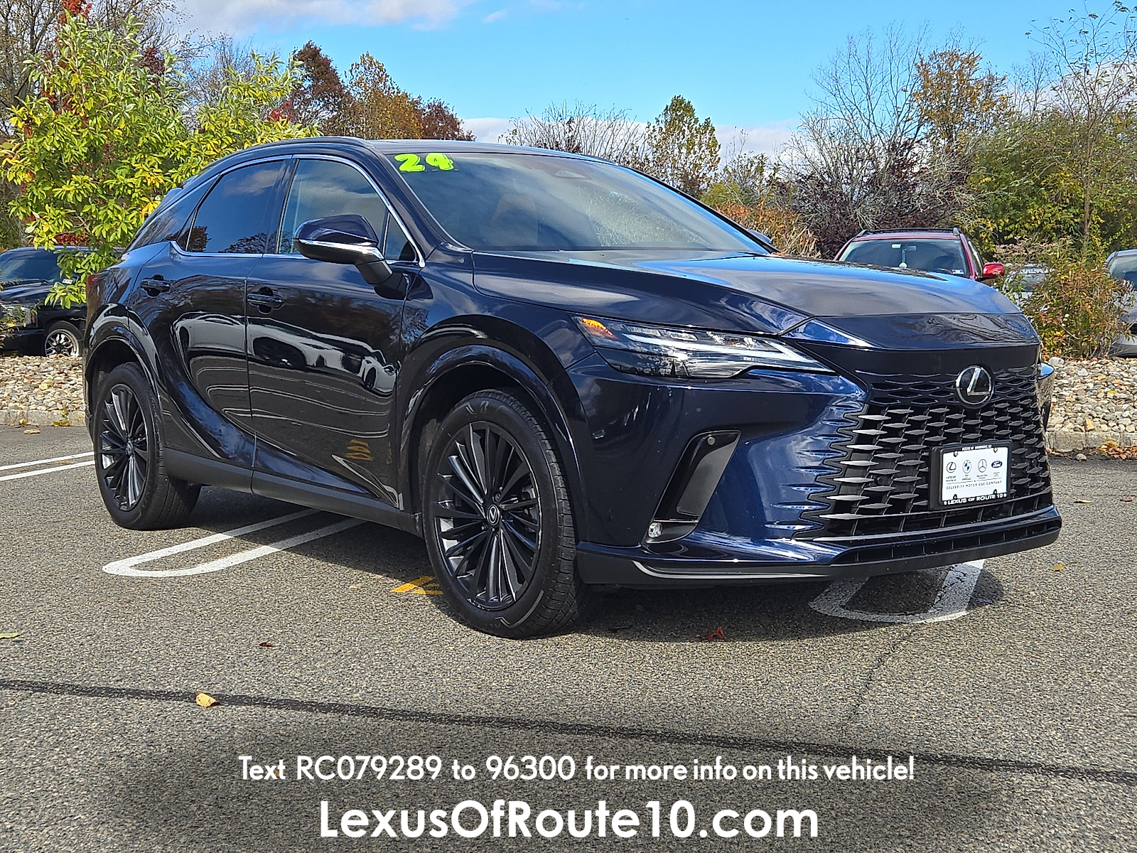 2024 Lexus RX 350's photo