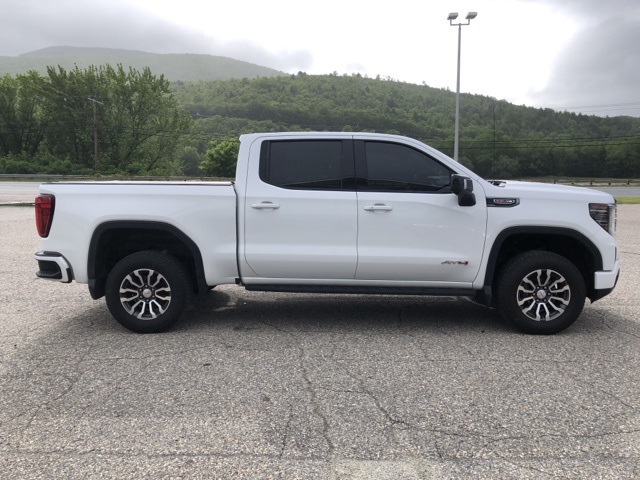2022 Gmc Sierra 1500 AT4 photo 2