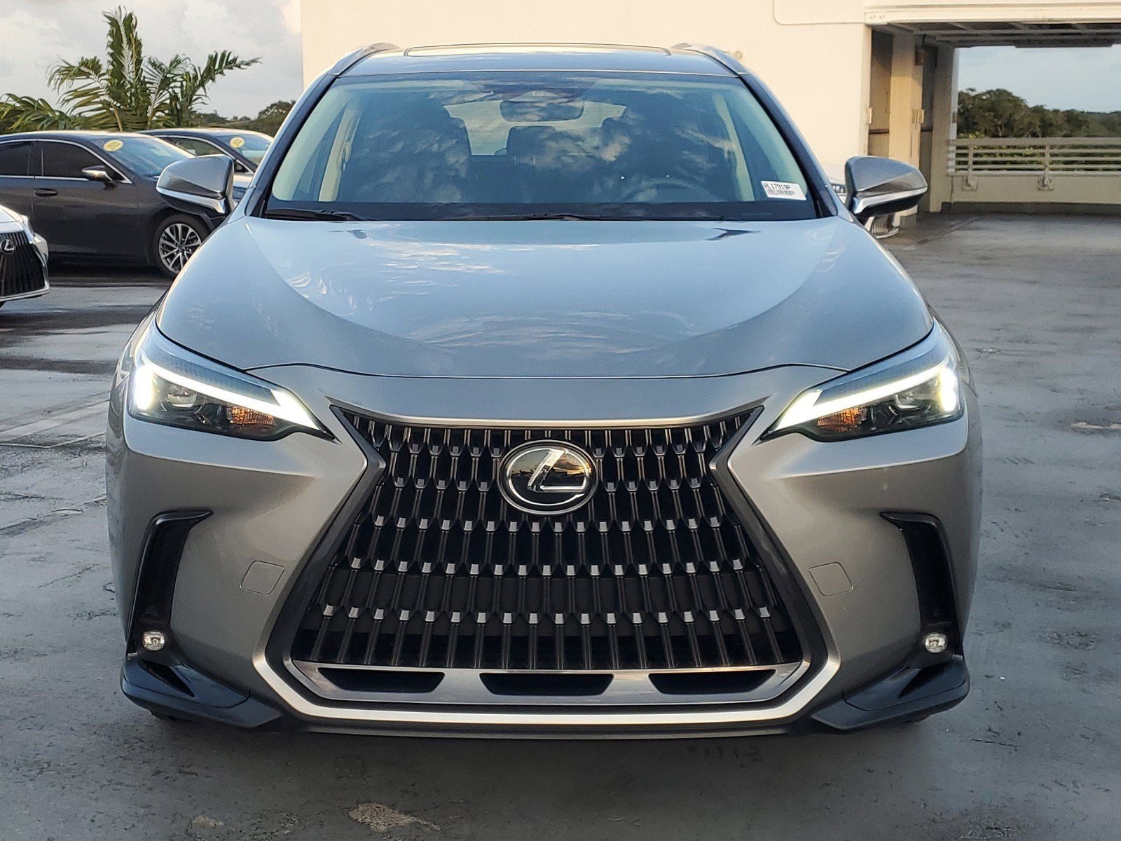 2024 Lexus NX 250 photo 3