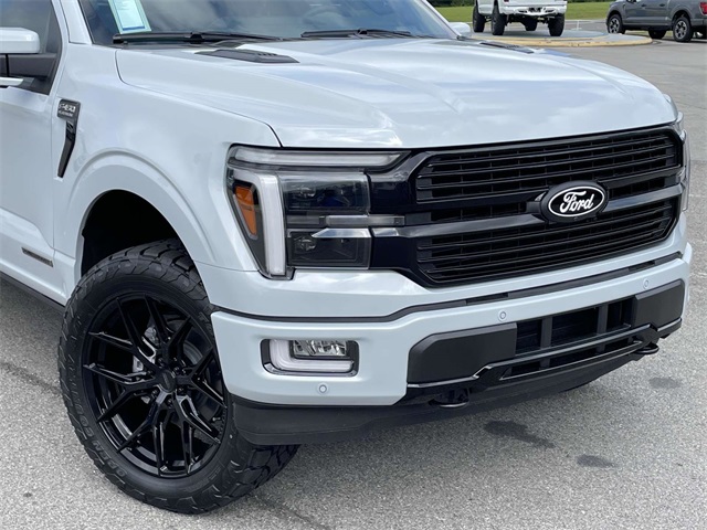 2025 Ford F-150 Platinum photo 3