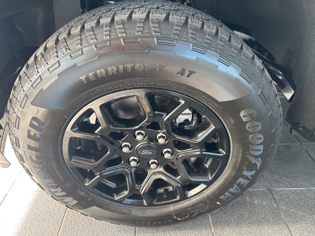 2025 Ford F-150 XLT photo 6